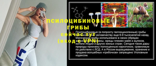 мяу мяу мука Корсаков