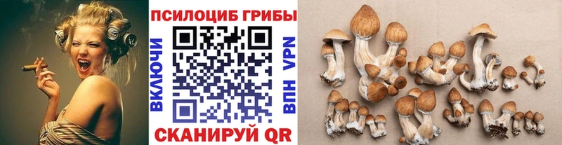 Псилоцибиновые грибы мицелий Пучеж