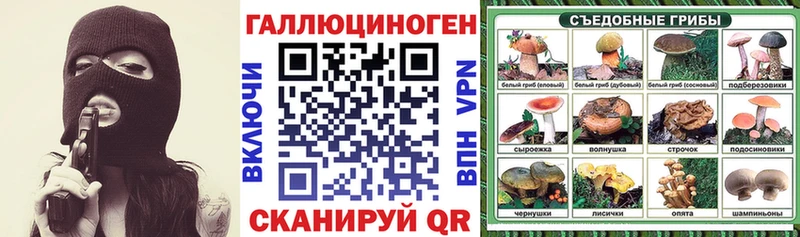 Купить где  Пучеж  Псилоцибиновые грибы ЛСД 
