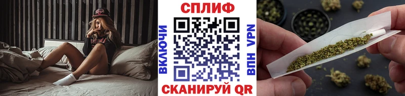Купить  Пучеж  Бошки Шишки сатива 